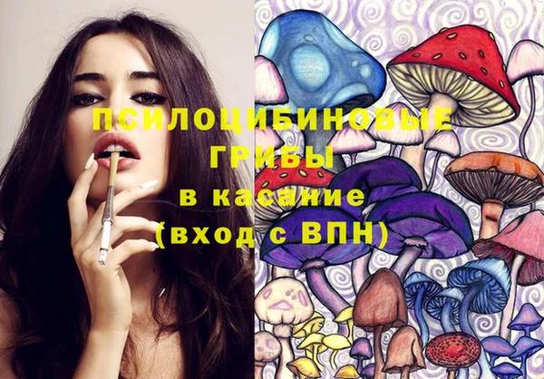 ГАЛЛЮЦИНОГЕННЫЕ ГРИБЫ Абинск