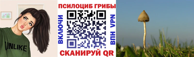 сколько стоит  Рубцовск  Галлюциногенные грибы мухоморы 